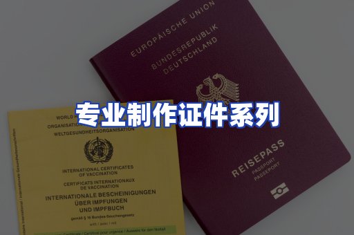 专业制作证件系列